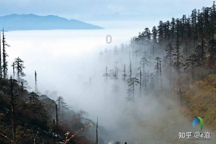 一颗药要人命