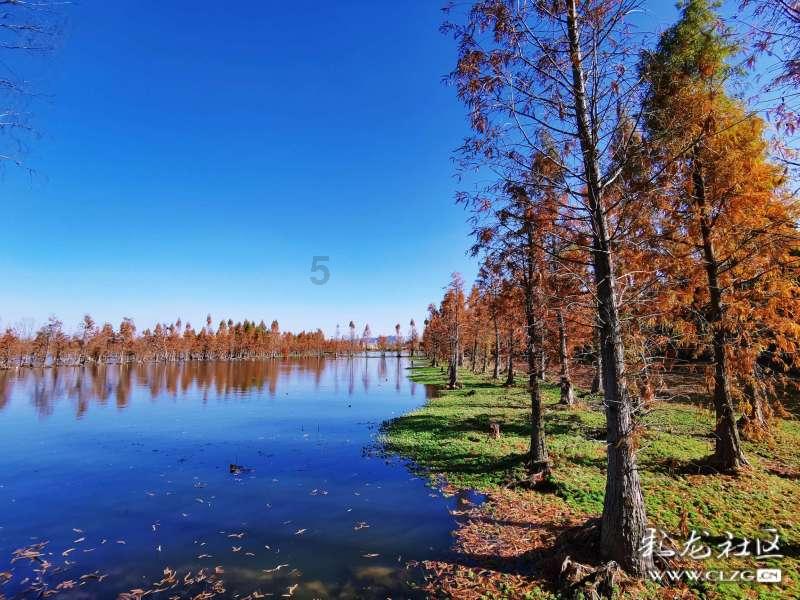 柳岩酷炫黑西装造型 亲近自然享受新疆美景
