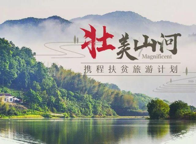安然参命源100人参饮品荣膺