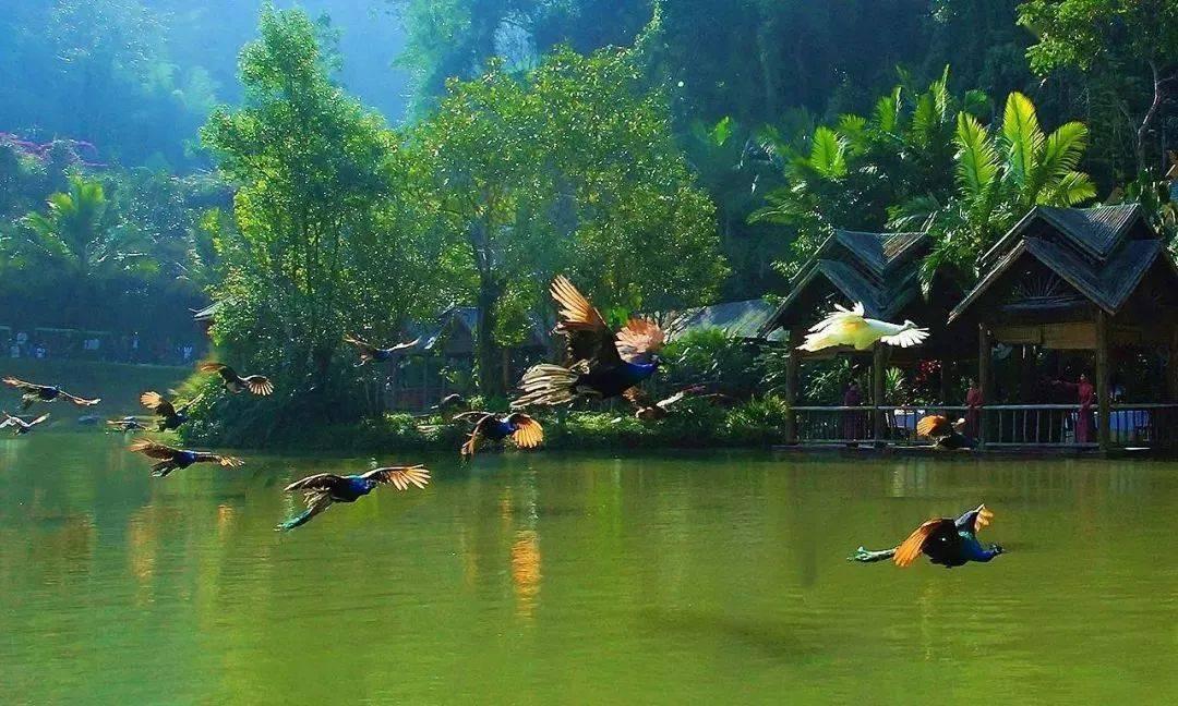 奇瑞终于“爆发”了！2024款捷途旅行者JMK登场