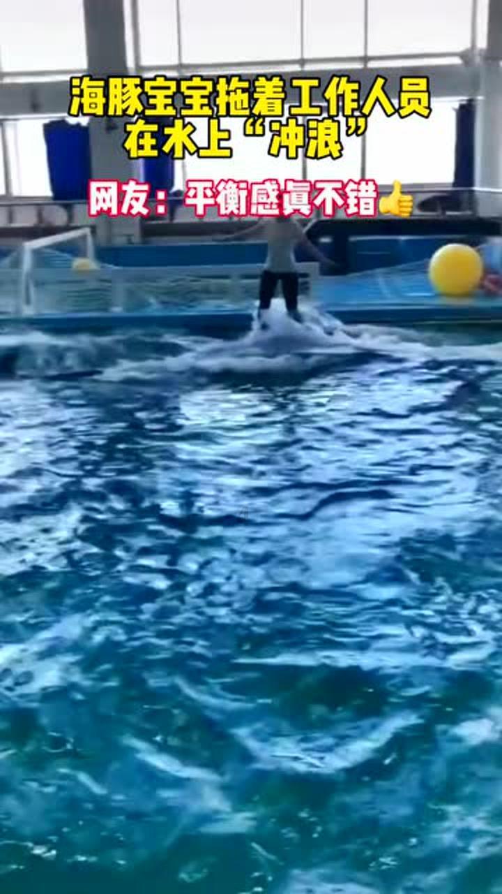 大山羔羊逃生